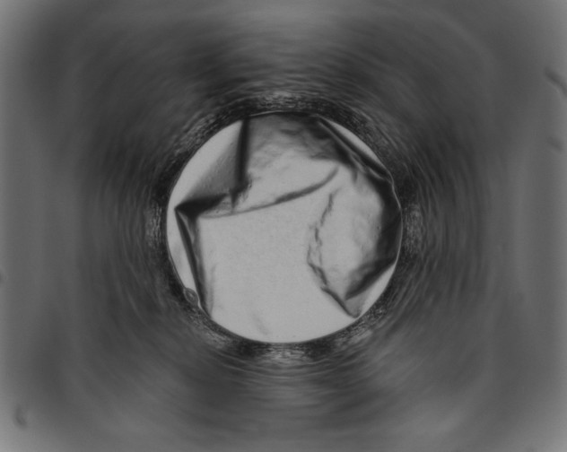 X0000094770278200712141604