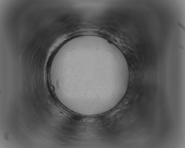 X0000094770294200712141604