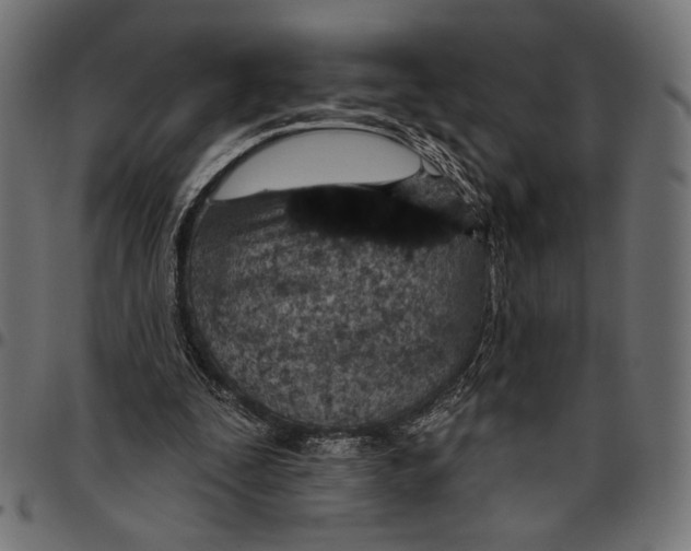 X0000094770295200712141604