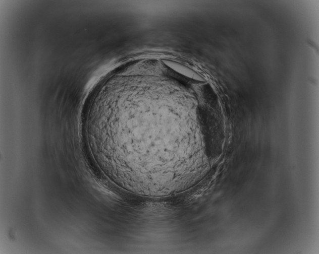 X0000094770296200712141604