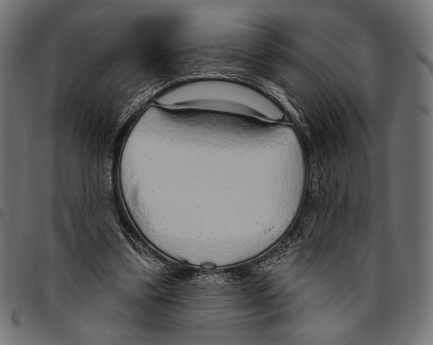 X0000094770299200712141604