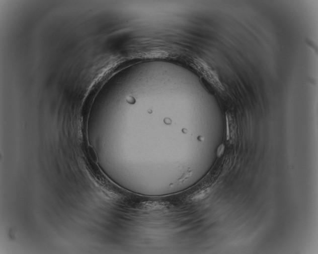 X0000094770300200712141603