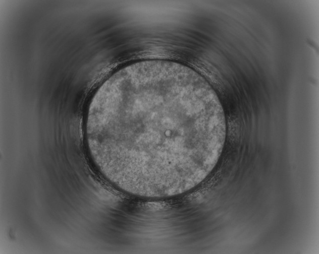 X0000094770302200712141603