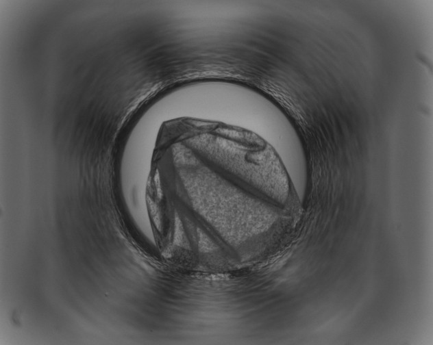 X0000094770304200712141603