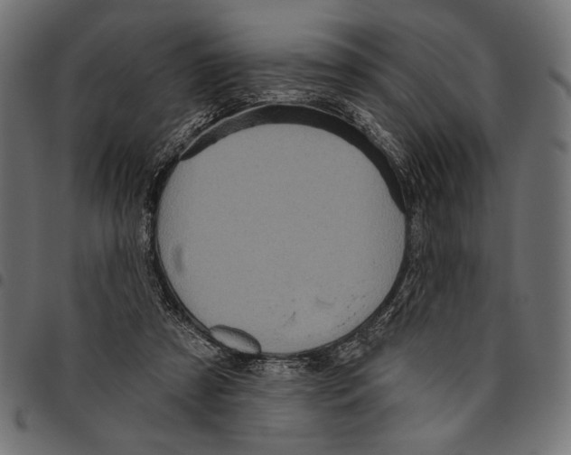 X0000094770305200712141603