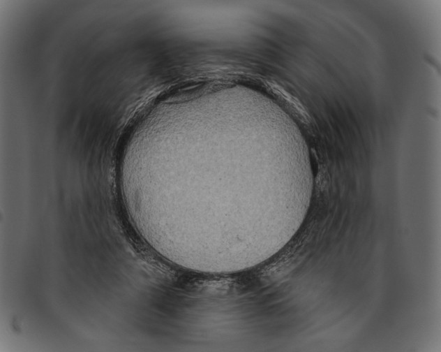 X0000094770306200712141603