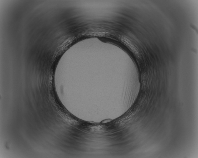 X0000094770309200712141603