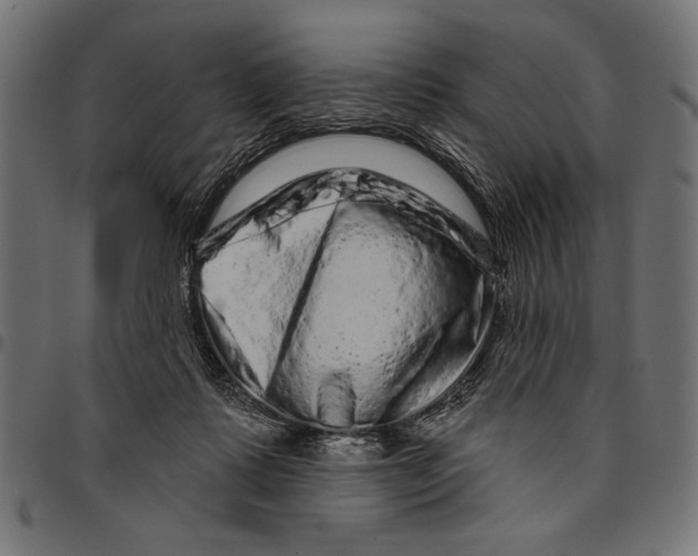 X0000094770315200712141603