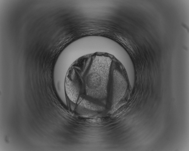 X0000094770317200712141603