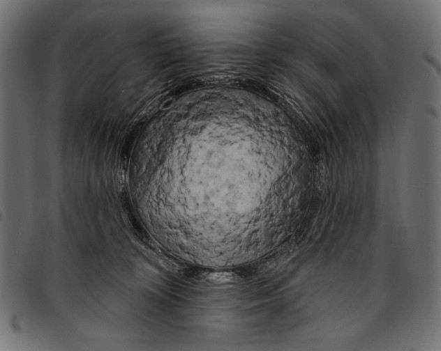 X0000094770324200712141603