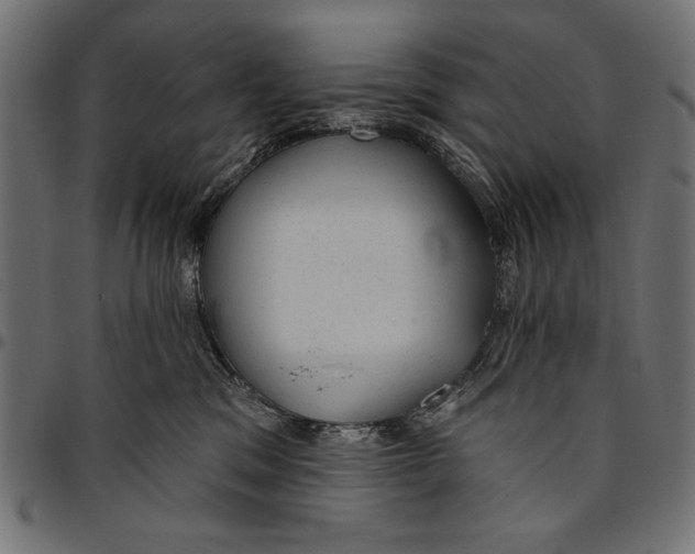 X0000094770329200712141603