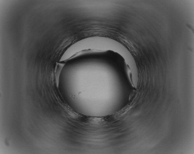 X0000094770333200712141603