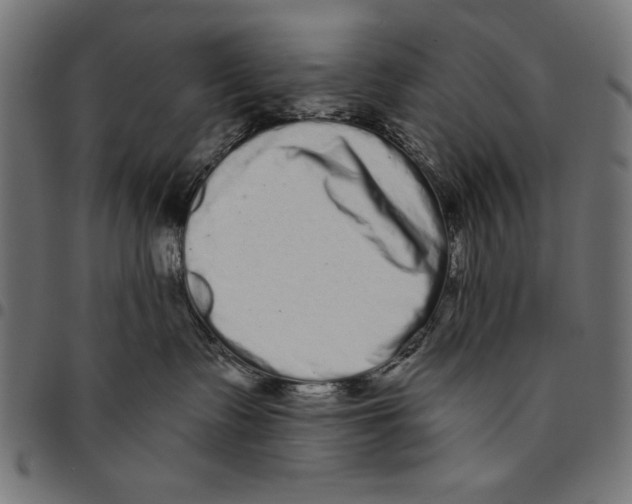 X0000094770335200712141603