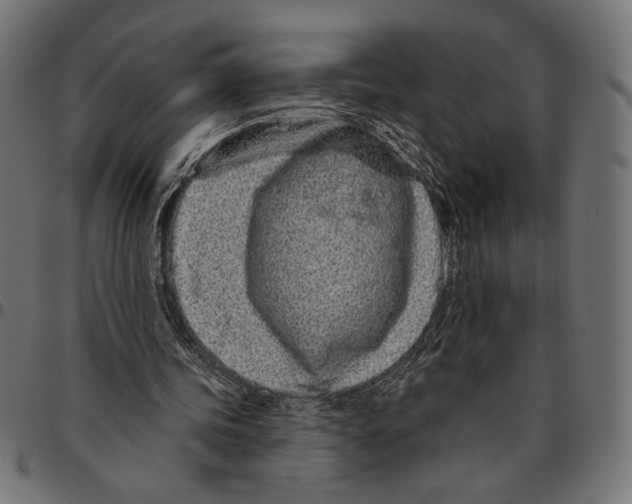 X0000094770339200712141602