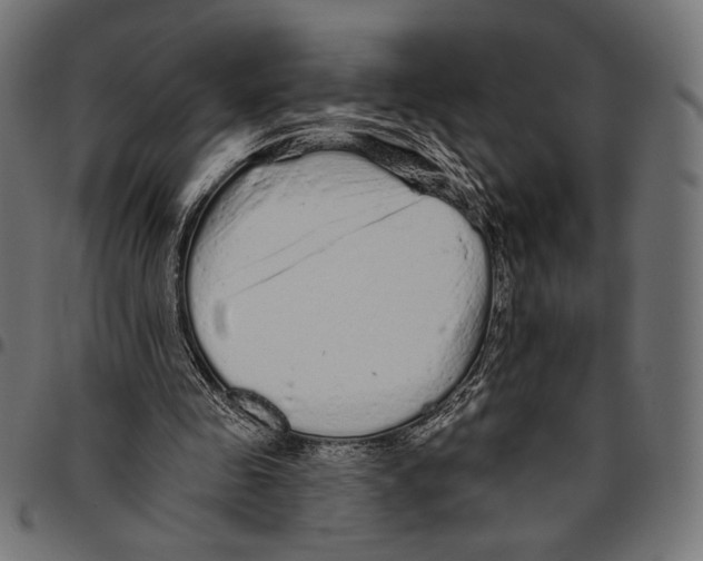 X0000094770341200712141602