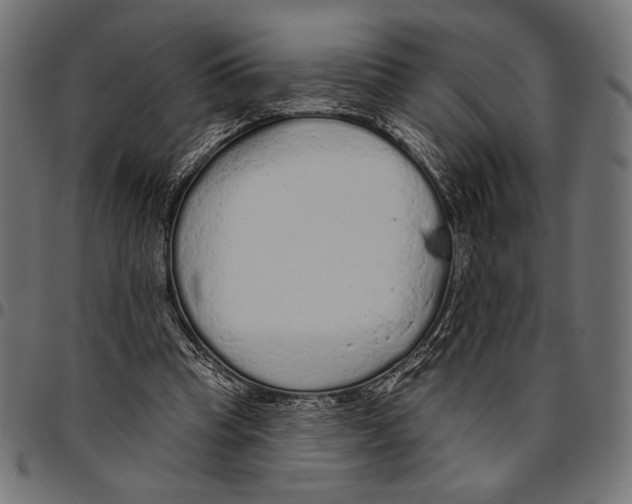 X0000094770345200712141602