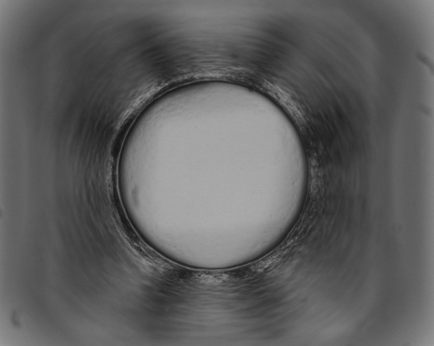 X0000094770346200712141602