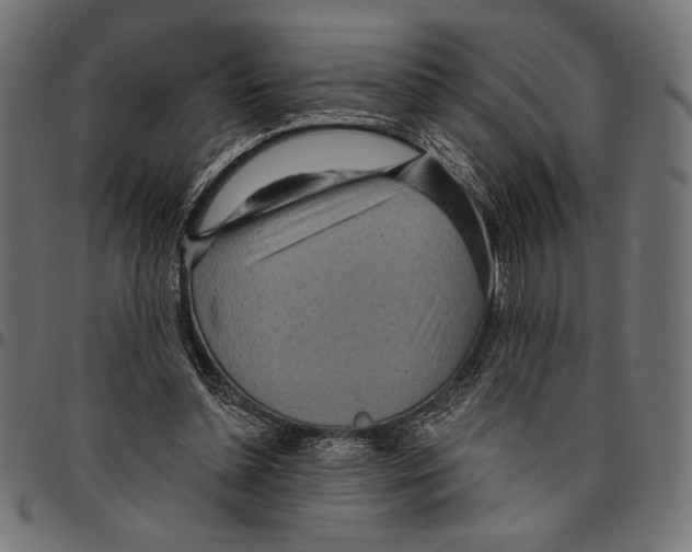 X0000094770348200712141602