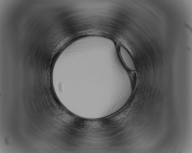 X0000094770349200712141603