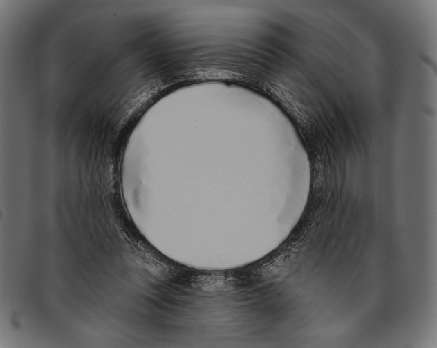 X0000094770351200712141603