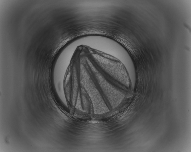 X0000094770352200712141603