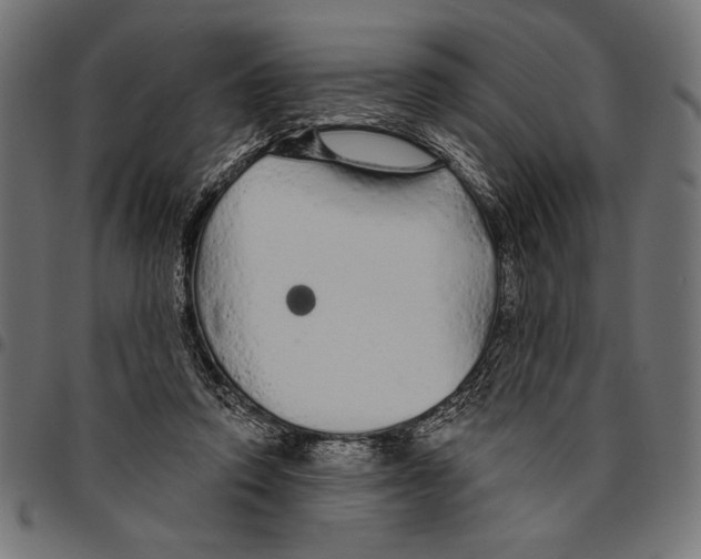 X0000094770354200712141603