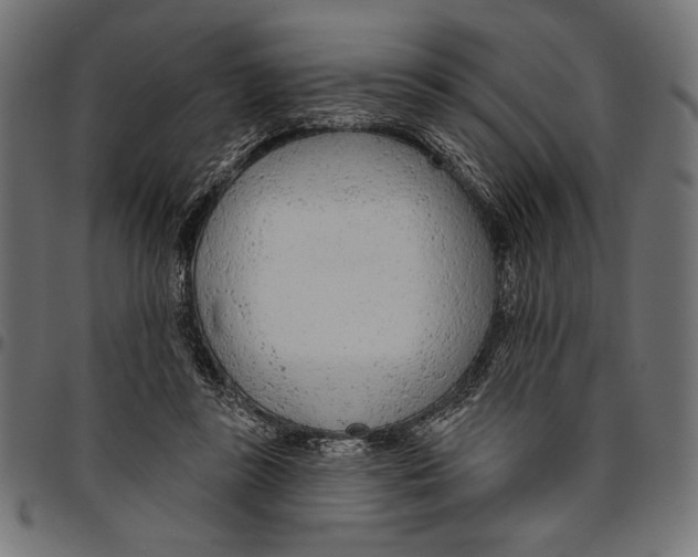 X0000094770355200712141603