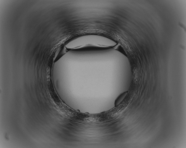 X0000094770356200712141603