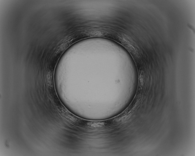 X0000094770359200712141603