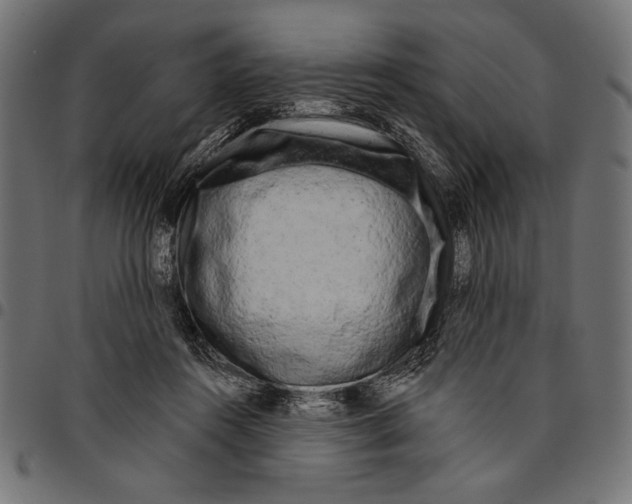 X0000094770360200712141603