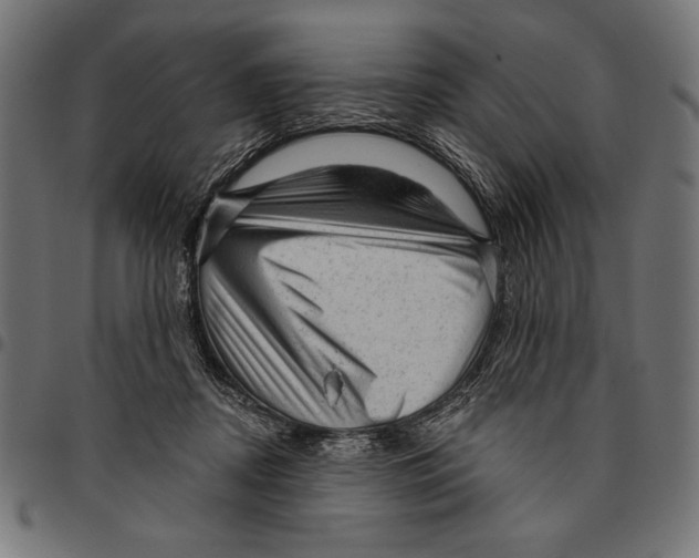 X0000094770362200712141603