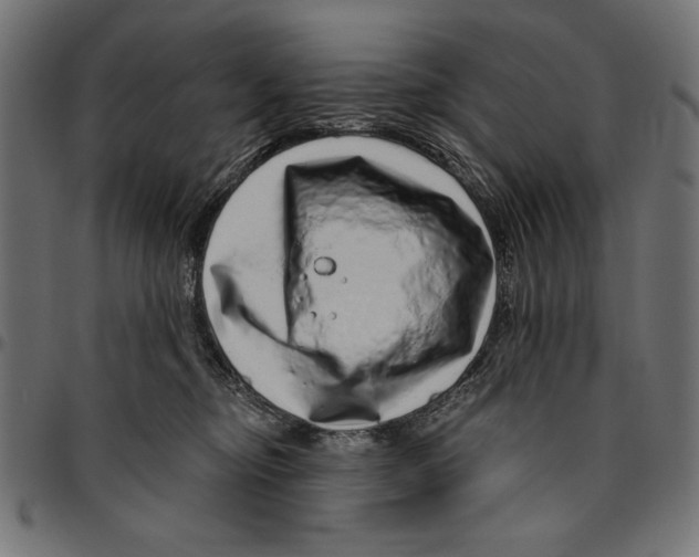 X0000094770374200712141603