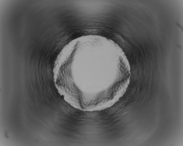 X0000094770377200712141603