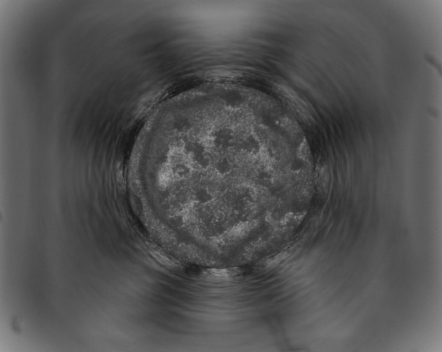 X0000094770381200712141603