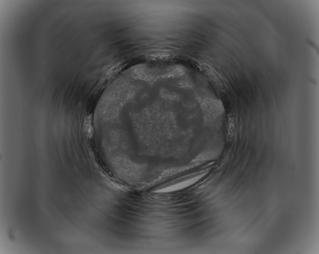 X0000094770383200712141603