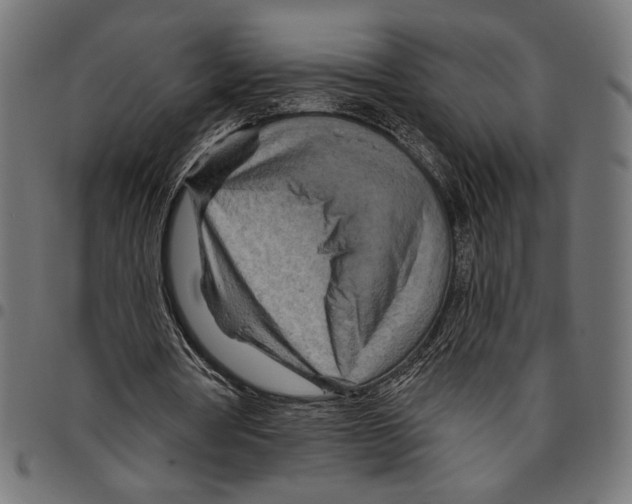 X0000094770386200712141602