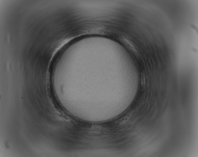 X0000094770388200712141602