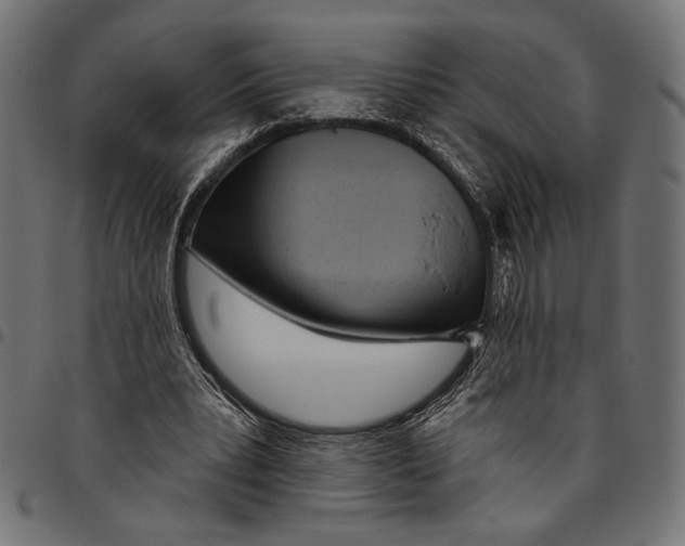 X0000094770391200712141602