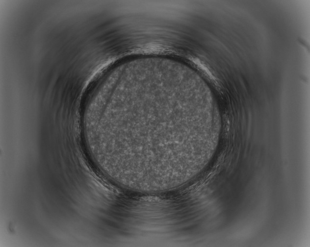 X0000094770392200712141602