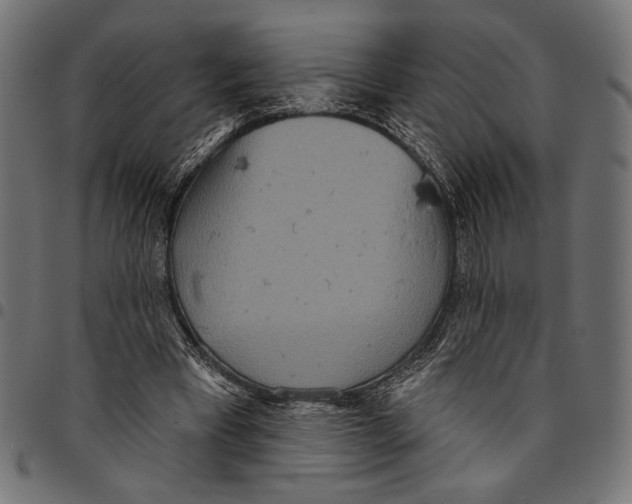 X0000094770393200712141602