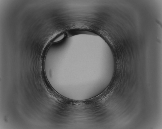 X0000094770395200712141602