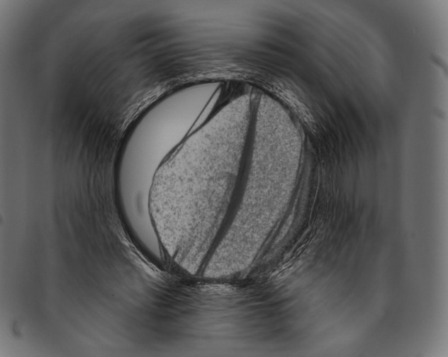 X0000094770397200712141602