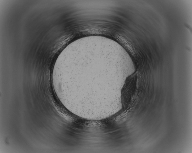 X0000094770398200712141602