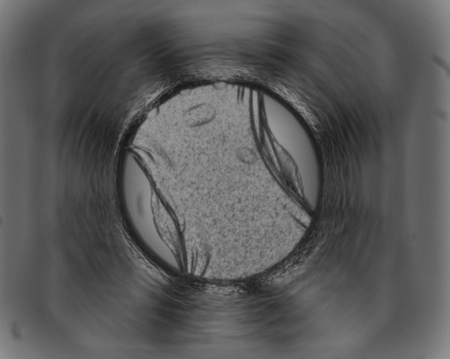 X0000094770399200712141602