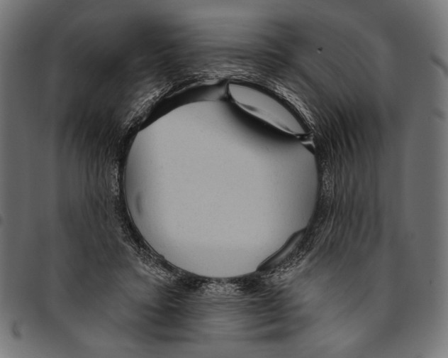 X0000094770403200712141602