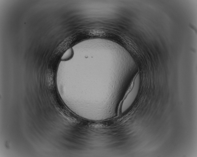 X0000094770408200712141602