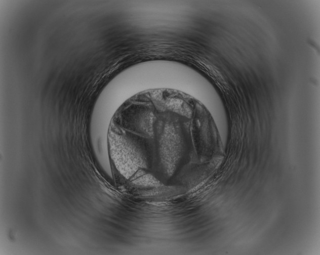 X0000094770409200712141602