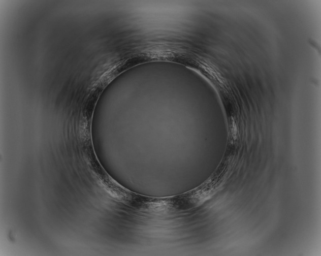 X0000094770411200712141602