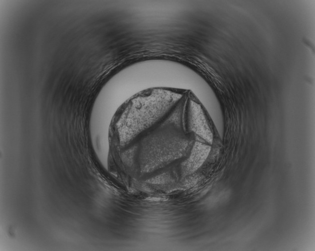 X0000094770415200712141602