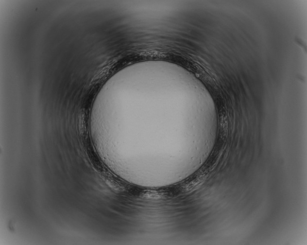 X0000094770416200712141602